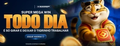 Termos Financeiros Camilapg.com